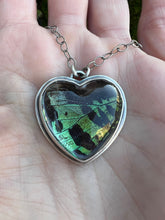 Load image into Gallery viewer, Butterfly love necklace
